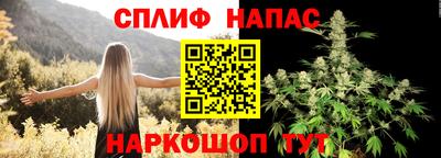 гашик Бузулук
