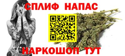 PSILOCYBIN Будённовск