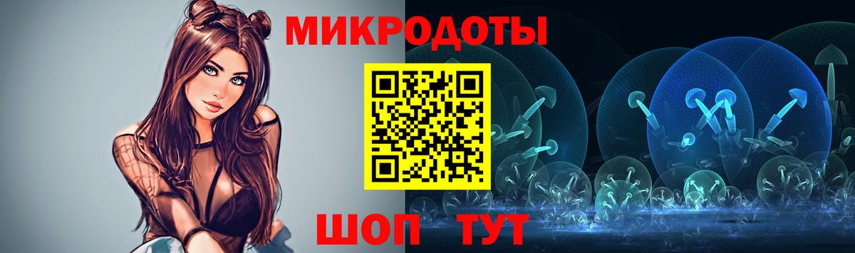 Псилоцибиновые грибы Psilocybine cubensis Миллерово